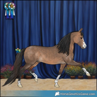 Horse Color:Bay Dun 