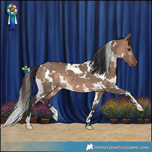 Horse Color:White Spotted Bay Dun 