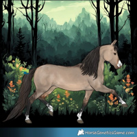 Horse Color:Bay Dun