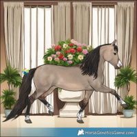 Horse Color:Bay Dun