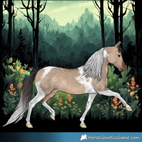 Horse Color:Bay Dun Tobiano 