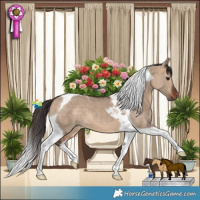 Horse Color:Bay Dun Tobiano 