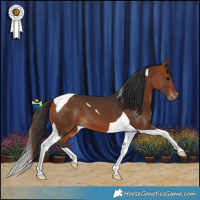 Horse Color:Bay Tobiano