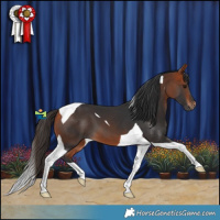 Horse Color:Bay Tobiano 