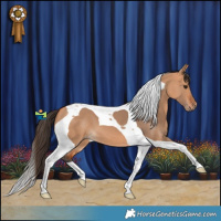 Horse Color:Bay Dun Tobiano 
