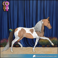 Horse Color:Bay Dun Tobiano 