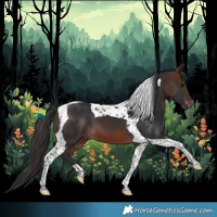 Horse Color:Brown Tobiano 
