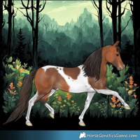 Horse Color:Bay Tobiano 