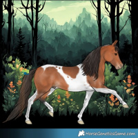 Horse Color:Bay Tobiano 