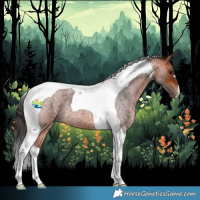 Horse Color:Bay Roan Tobiano 