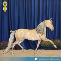 Horse Color:White Spotted Palomino Dun 