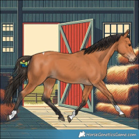 Horse Color:Bay Tobiano 