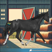 Horse Color:Black Splash Tobiano