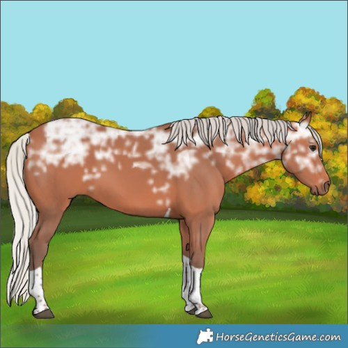 Horse Color:Silver Bay Ice Tobiano 