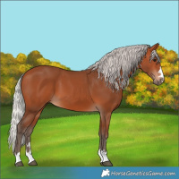 Horse Color:Silver Bay