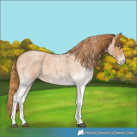 Horse Color:White Spotted Red Roan 