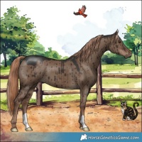 Horse Color:Liver Red Dun Brindle