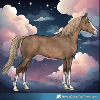 Horse Color:Liver Red Dun