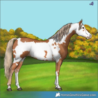 Horse Color:Chestnut  and Chestnut Frame 