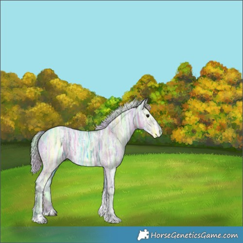 Horse Color:Nacre Watercolor Silver Brown Ice Dun Tobiano 