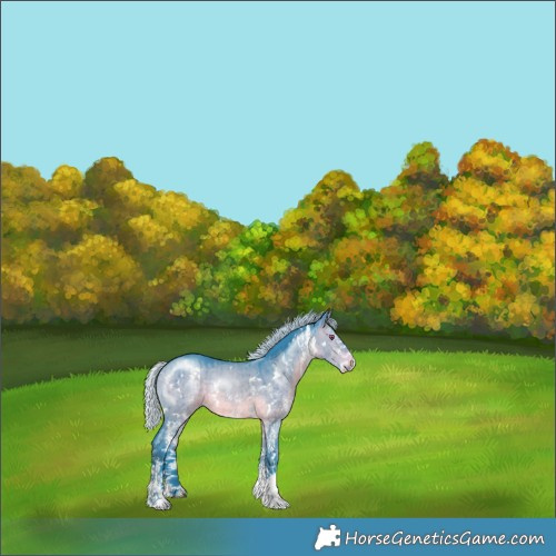 Horse Color:Watercolor White Spotted Silver Brown Chinchilla Dun Rabicano Brindle 