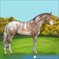 Horse Color:Powder White Silver Brown Dun
