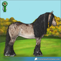 Horse Color:White Spotted Brown Dun Rabicano Brindle