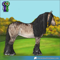 Horse Color:White Spotted Brown Dun Rabicano Brindle 
