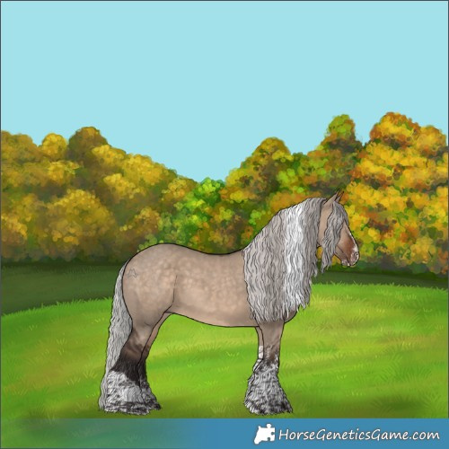 Horse Color:White Spotted Silver Brown Dun Tobiano Rabicano