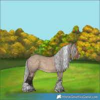 Horse Color:White Spotted Silver Brown Dun Tobiano Rabicano