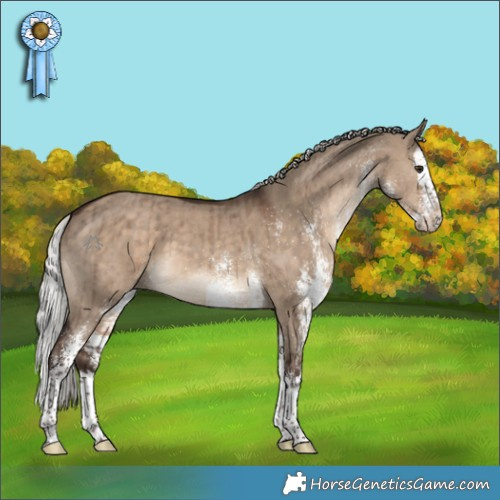 Horse Color:White Spotted Silver Brown Dun Splash Brindle