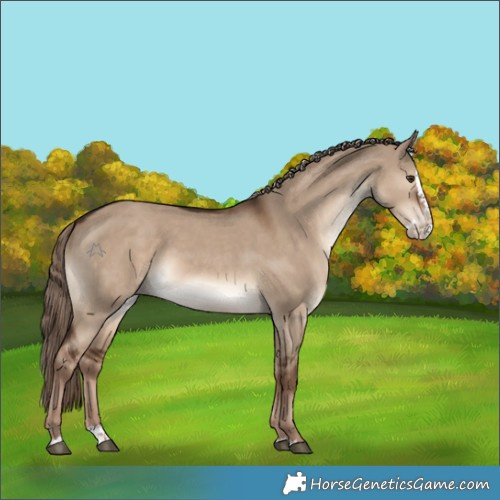 Horse Color:White Spotted Liver Red Dun Splash 