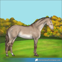 Horse Color:White Spotted Liver Red Dun Splash