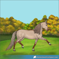 Horse Color:Red Dun 