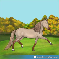 Horse Color:Red Dun 