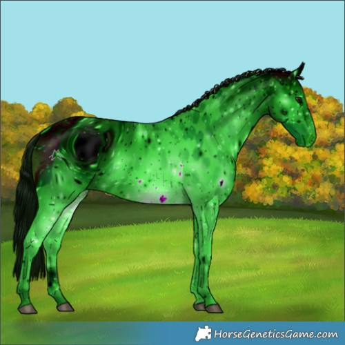 Horse Color:ERROR: UNKNOWN ANOMALY