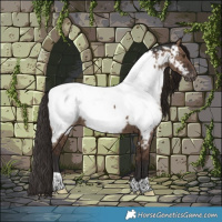 Horse Color:Liver Red Dun Snowcap Rabicano Brindle 