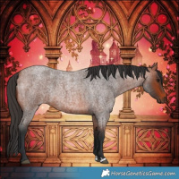 Horse Color:Bay Roan 