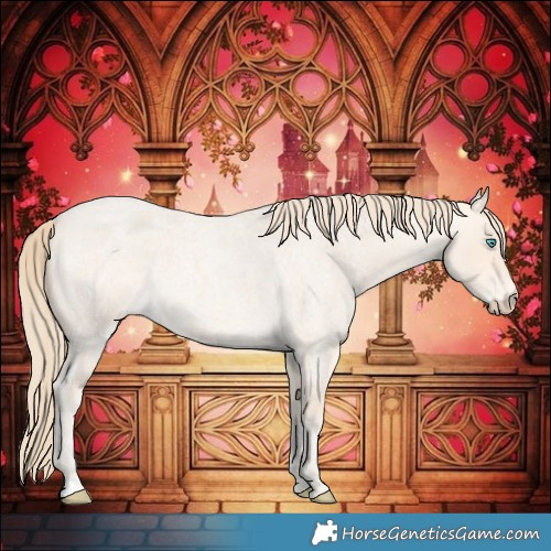 Horse Color:Perlino Roan 