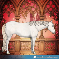Horse Color:Perlino Roan