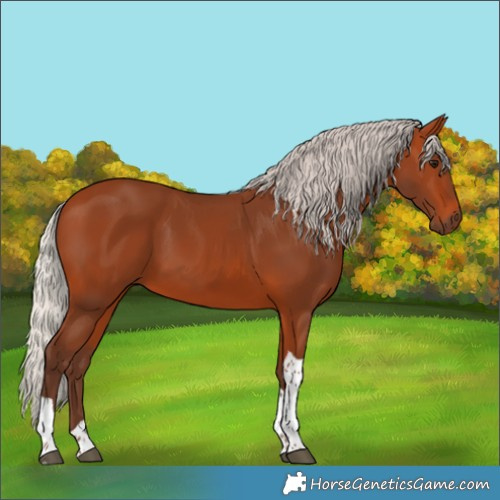 Horse Color:Silver Bay Tobiano 