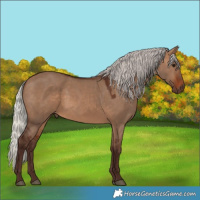 Horse Color:Silver Brown Dun 