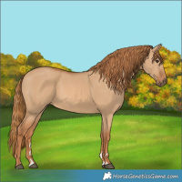 Horse Color:Red Dun 