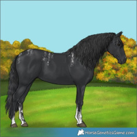 Horse Color:Powder White Black 
