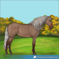 Horse Color:Silver Bay Dun