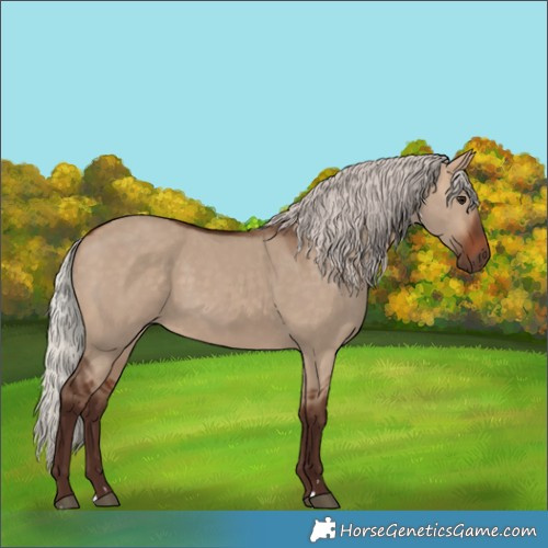 Horse Color:Silver Bay Dun 
