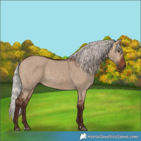 Horse Color:Silver Bay Dun 
