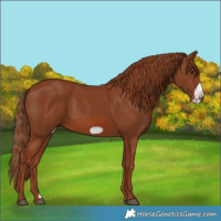 Horse Color:Chestnut Frame