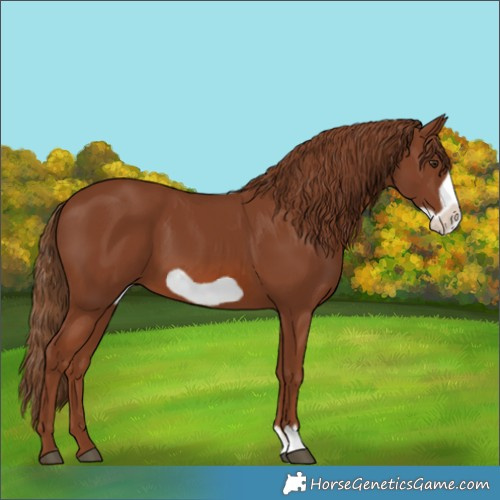 Horse Color:Chestnut Frame 