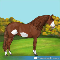 Horse Color:Chestnut Frame